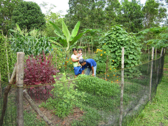 Home gardens provide a rich bounty of fresh produce