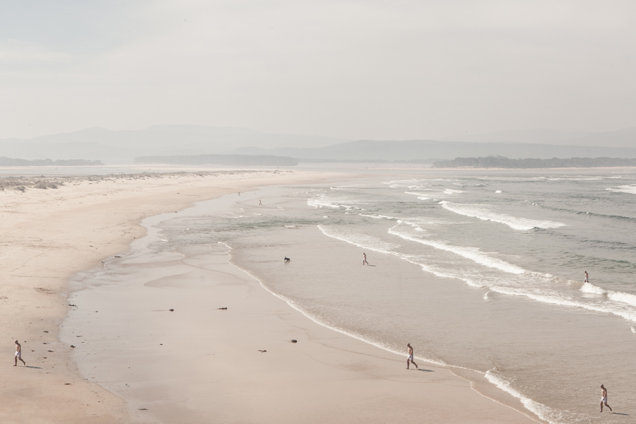 Turtle Nesting, Mallacoota (2013)