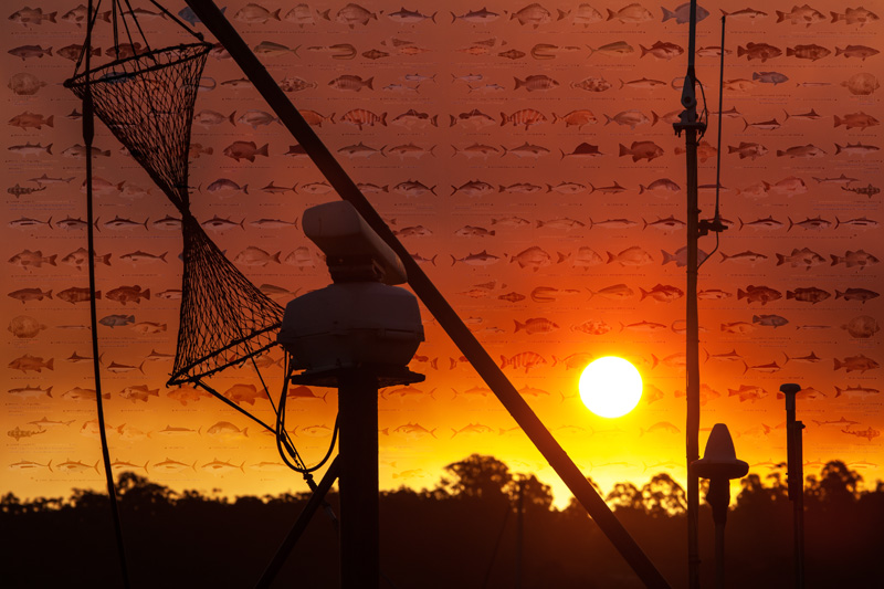 Fishery sunset