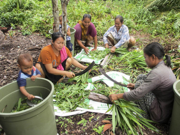 Preparing to make compost