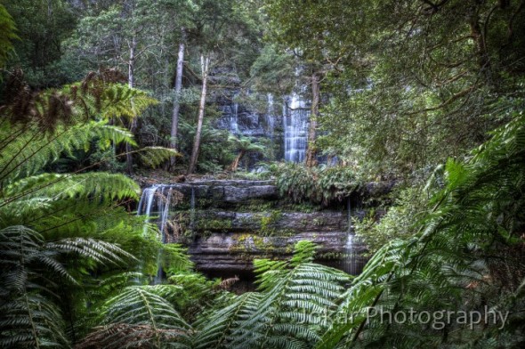 Russell Falls, Mt Field National Park