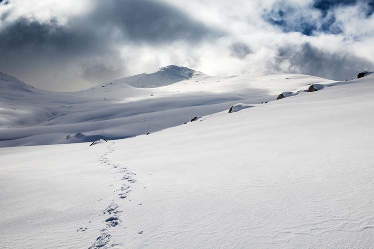 Descending from Mt Townsend