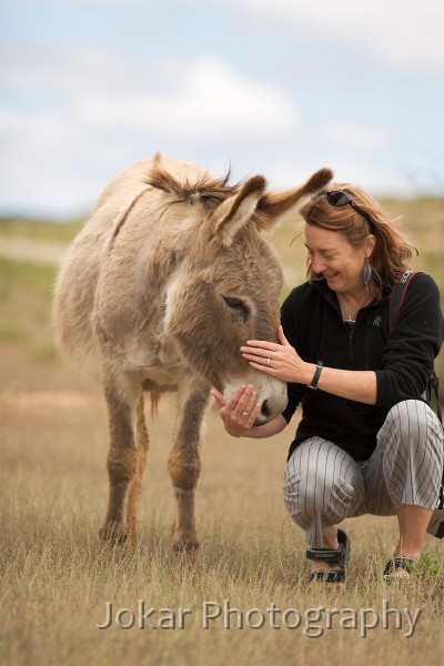 _MG_0714.jpg - Donkey and friend, Nepabunna (Flinders Ranges), South Australia