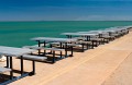 Darwin_20070901_020