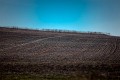 Weddin_Mountains_20110423_0518