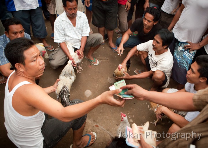 Candi_Dasa_20100714_030.jpg - Sorting out the bets before cockfight, Candi Dasa, Bali