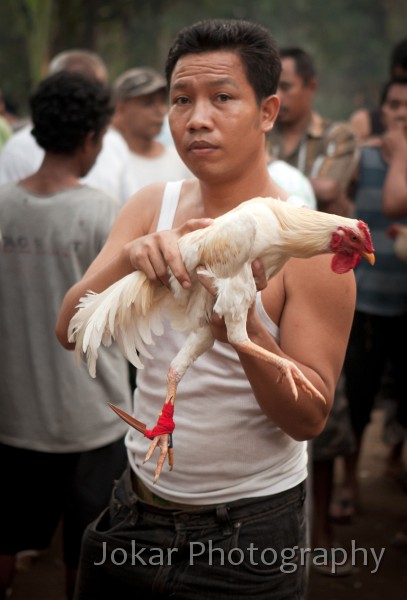 Candi_Dasa_20100714_053.jpg - Cockfight, Candi Dasa, Bali