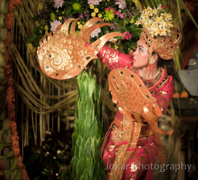 Puri_Ubud_wedding_20101003_307.jpg - Kupu-kupu (butterfly) dancer, Puri Ubud, Bali