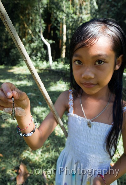 Tampaksiring_20100131_022.jpg - Catching dragonflies with a sticky pole, Gunung Kawi, Tampaksiring, Bali