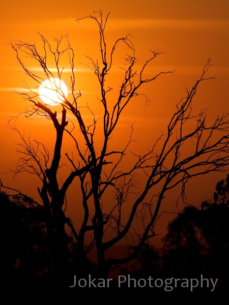 Burnt_Stump_Hill_20090225_097.jpg - Burnt Stump Hill, ACT