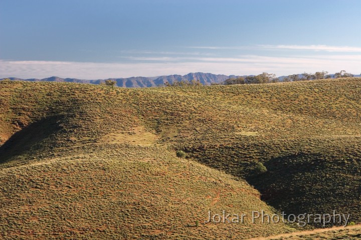 _MG_0990.jpg - Near Blinman, Flinders Ranges, South Australia