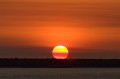 Darwin_20070903_132