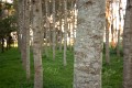 Kempsey_20050507_034