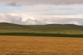 _MG_1411