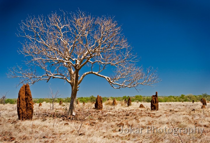 Dunmarra_20070907_018.jpg