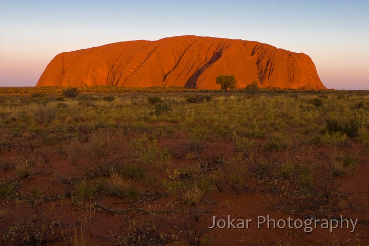 Uluru_20070920_026.jpg