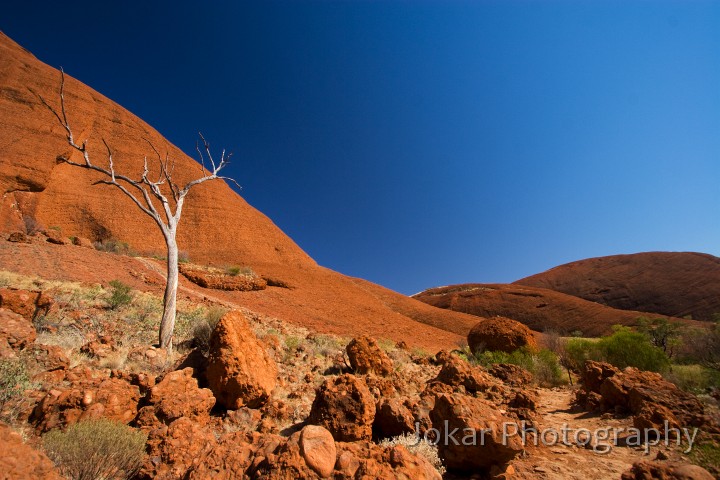 Uluru_20070921_061.jpg