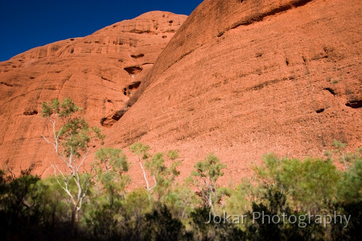 Uluru_20070921_068.jpg