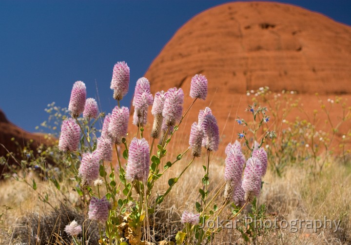 Uluru_20070921_190.jpg
