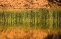 Katherine_20070820_023