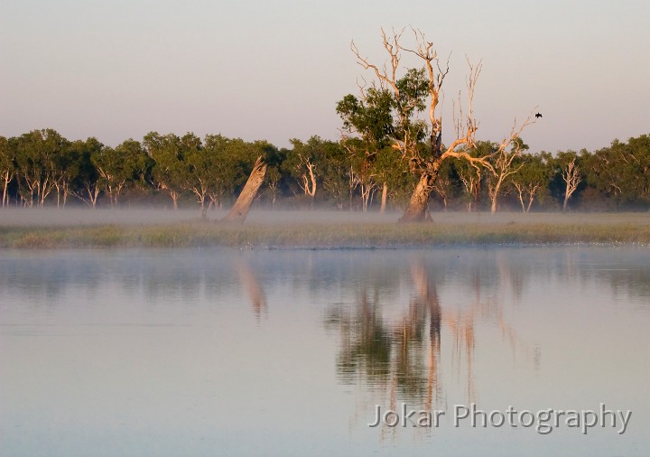 Kakadu_20070829_029.jpg