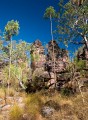 Kakadu_20070828_028