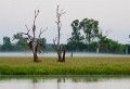 Kakadu_20070829_007