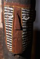 Darwin_20070903_030