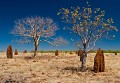 Dunmarra_20070907_019
