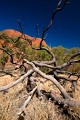 Uluru_20070921_052