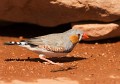 Uluru_20070921_132