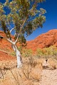 Uluru_20070921_154