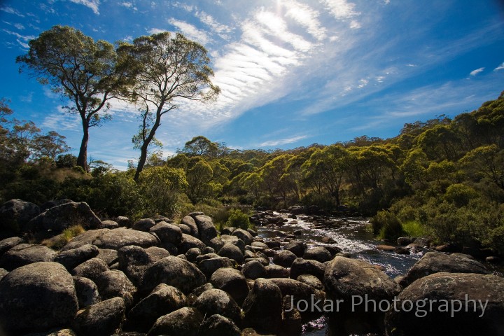 Barrington_Tops_20081222_0011.jpg