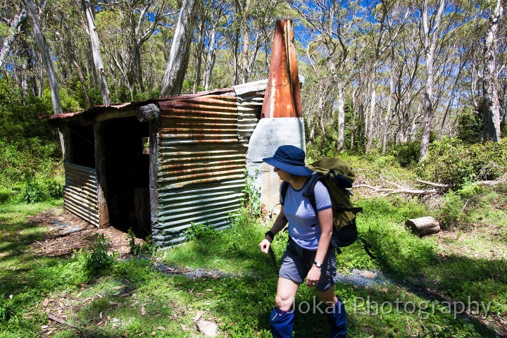 Barrington_Tops_20081222_0033.jpg