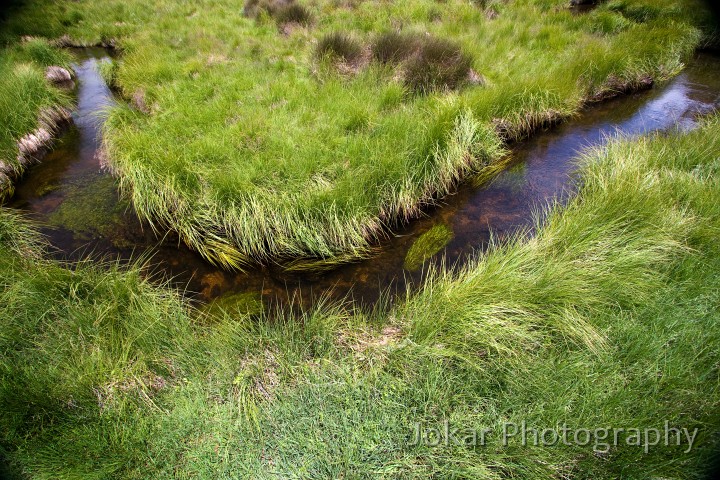 Barrington_Tops_20081223_0070.jpg