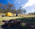 Barrington_Tops_20081222_0015