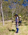 Barrington_Tops_20081222_0024