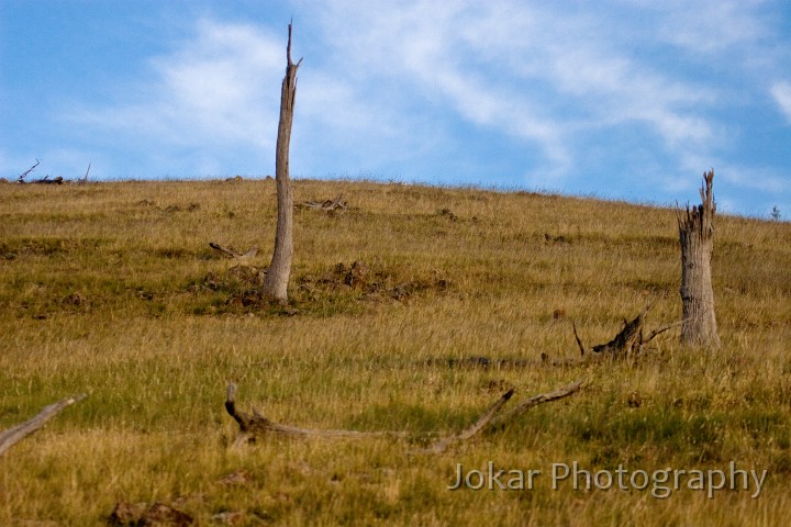 Burnt_Stump_Hill_20080123_048.jpg