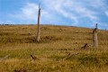 Burnt_Stump_Hill_20080123_048