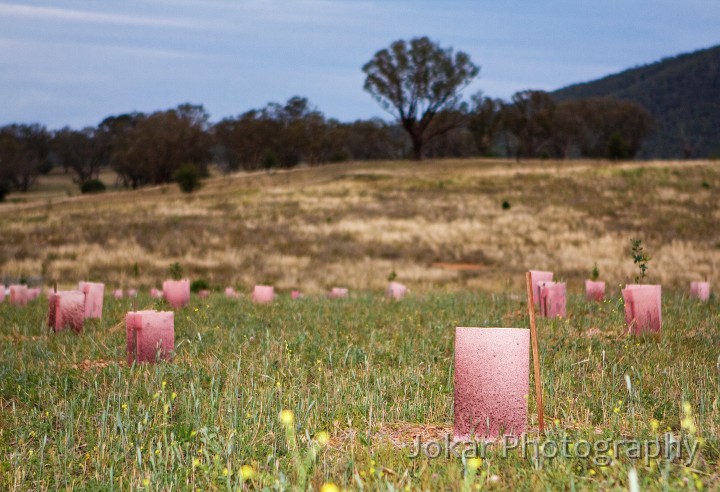 Dairy_Farmers_Hill_20080227_049.jpg