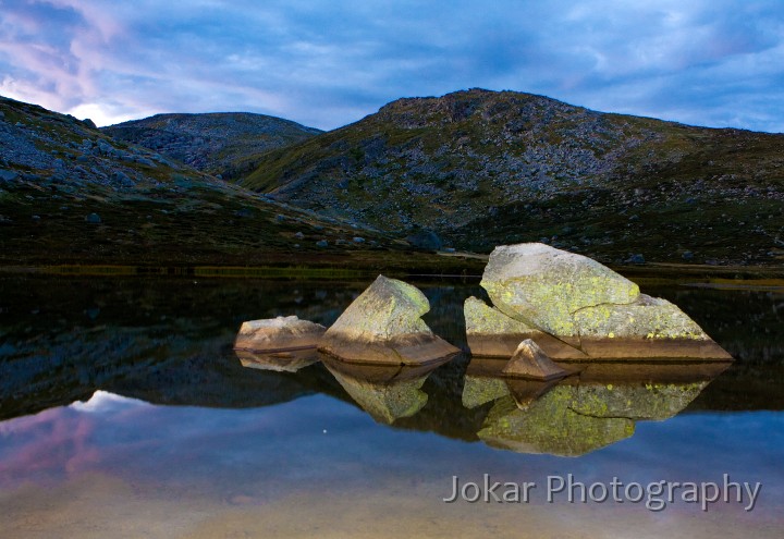 Hedley_Tarn_20080308_061.jpg