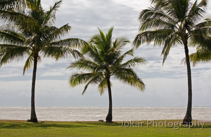 Port_Douglas_20080622_045.jpg