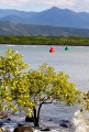 Port_Douglas_20080622_043