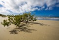 Port_Douglas_20080626_289