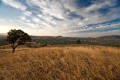 Urambi_Hills_20080319_014