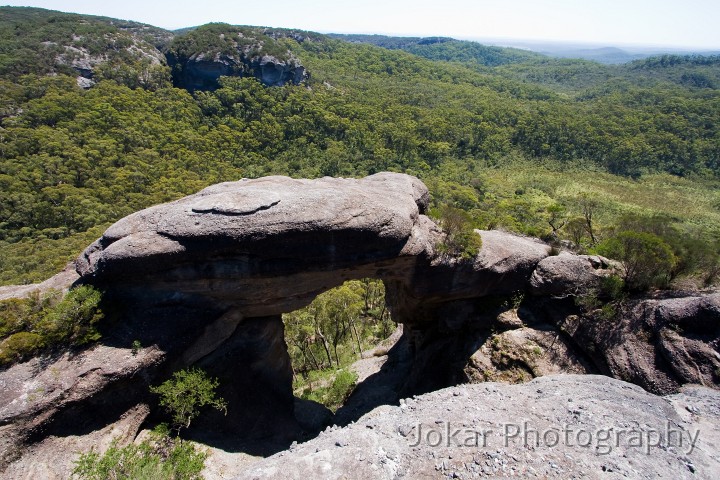 Budawangs_20090307_021.jpg