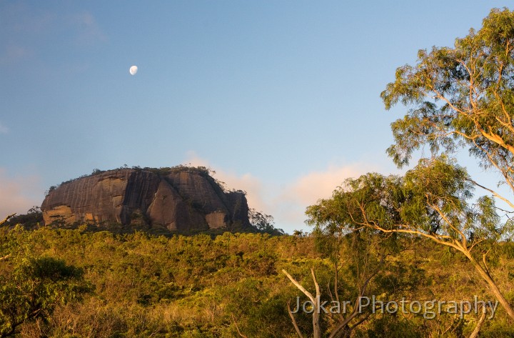 Budawangs_20090307_045.jpg