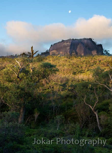 Budawangs_20090307_049.jpg