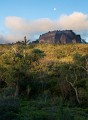 Budawangs_20090307_049