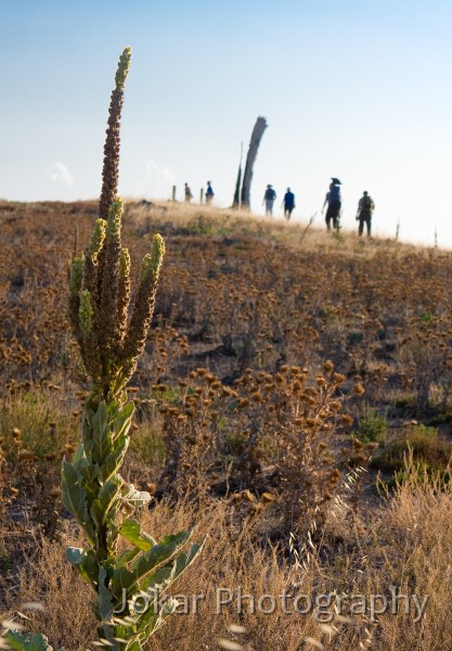 Burnt_Stump_Hill_20090225_008.jpg